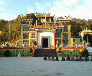 Tashi Jong Monastery Palampur